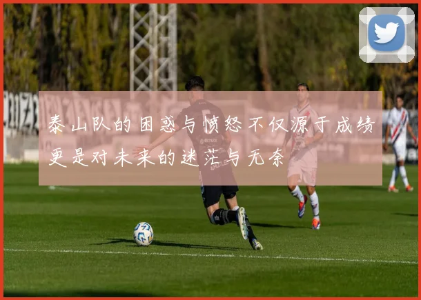 泰山队的困惑与愤怒不仅源于成绩更是对未来的迷茫与无奈